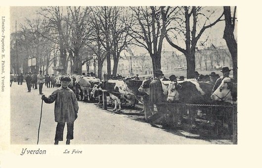 Lieu de rencontre yverdon